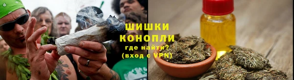 твердый Богданович