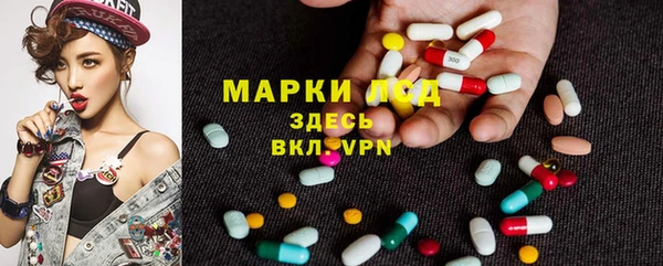 твердый Богданович