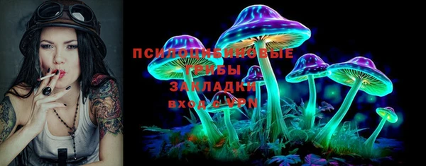 твердый Богданович