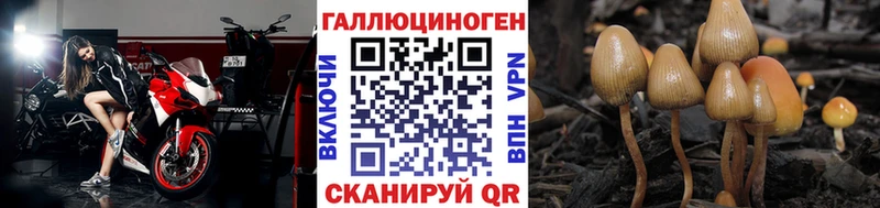 гидра ссылка  Оха  Псилоцибиновые грибы Cubensis  продажа наркотиков 